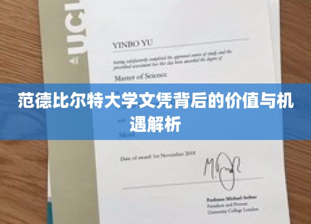 范德比尔特大学文凭背后的价值与机遇解析