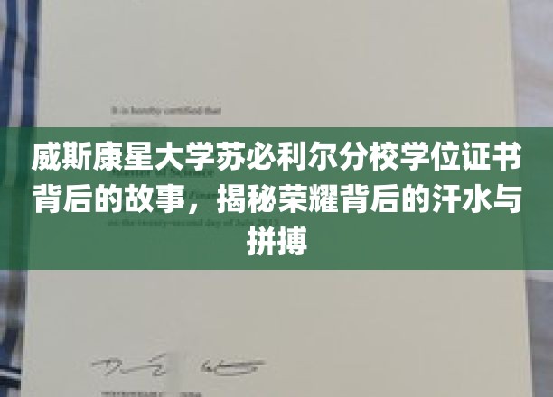 探寻威斯康星大学苏必利尔分校荣耀证书背后的汗水与奋斗传奇