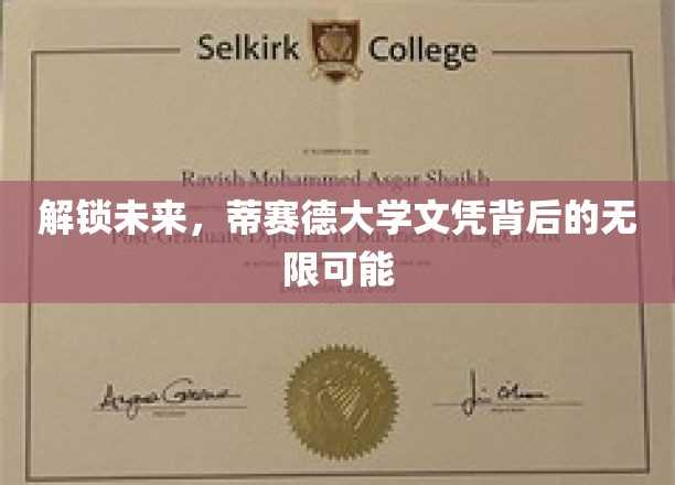 开启未来之门，蒂赛德大学学位引领的无穷机遇