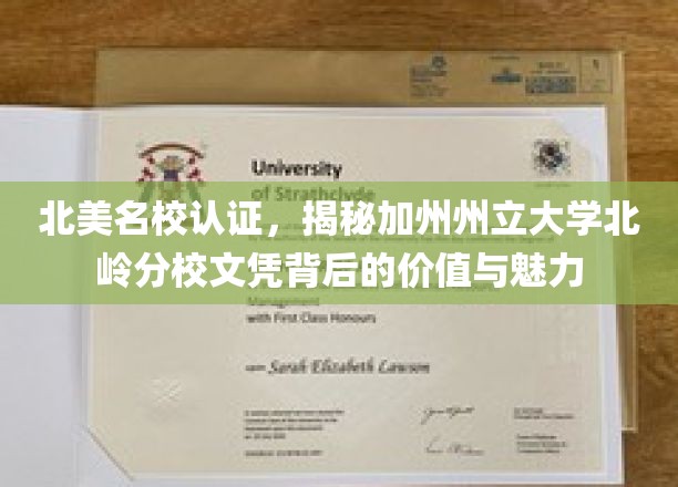 北美名校认证，揭秘加州州立大学北岭分校文凭背后的价值与魅力
