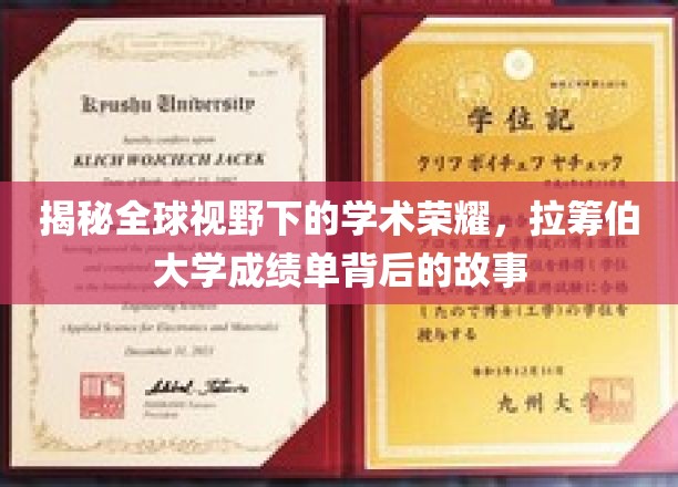 解码世界级学术殿堂，拉筹伯大学辉煌成就背后的传奇篇章