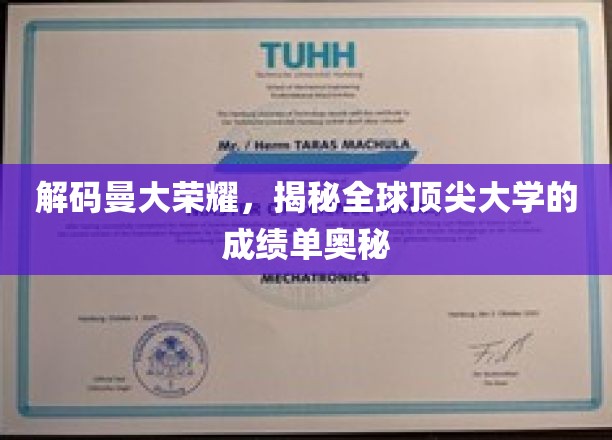 揭开曼大卓越成就背后的学术密码