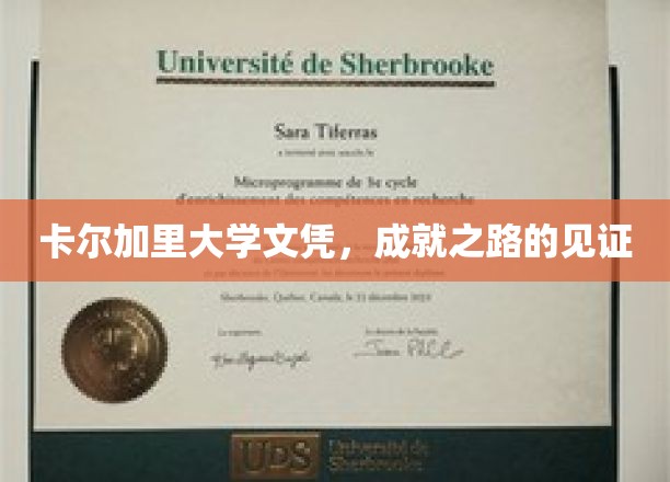 卡尔加里大学荣耀文凭，见证成就与未来的里程碑