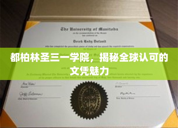 探索都柏林圣三一学院，全球文凭的非凡吸引力