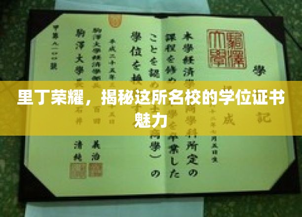 里丁荣耀，揭秘这所名校的学位证书魅力