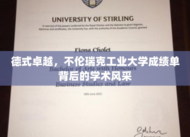 解析德意志之巅，不伦瑞克工业大学学术荣耀背后的奥秘