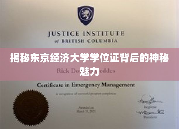 东京经济大学学位证，解锁名校光环的非凡之路