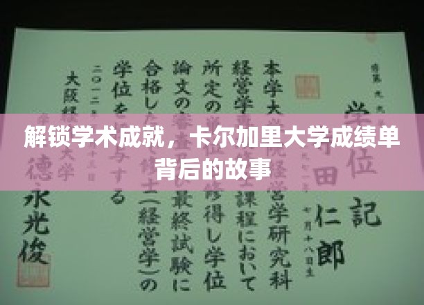探寻卡尔加里大学卓越成绩单背后的秘密之旅