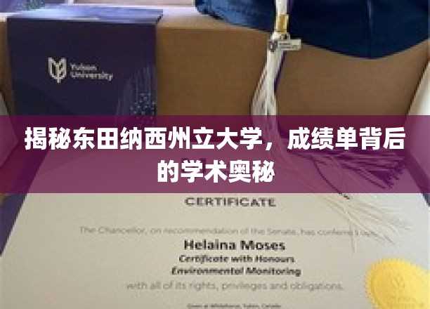 揭秘东田纳西州立大学，成绩单背后的学术奥秘