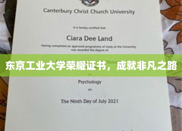 东京工业大学荣耀证书，成就非凡之路