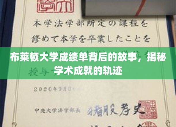 解码布莱顿大学成绩单，探寻学子学术辉煌的奥秘轨迹