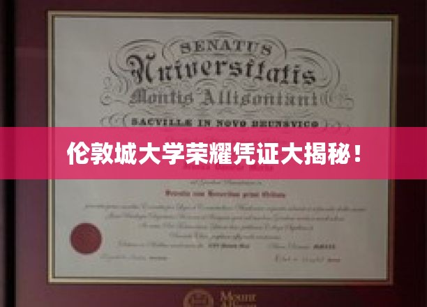 探寻伦敦城大学独家荣耀证书背后的秘密