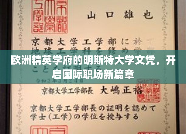 跨越国界，明斯特大学文凭引领职场未来