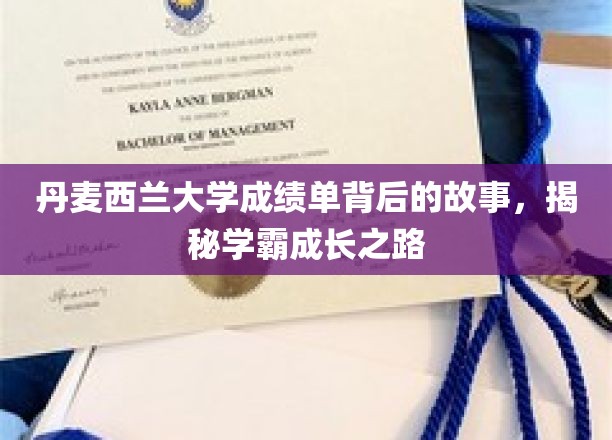 丹麦西兰大学成绩单背后的故事，揭秘学霸的成长之路