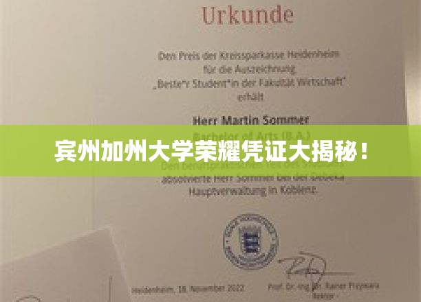 宾州加州大学独家荣耀证书，揭秘背后的传奇故事