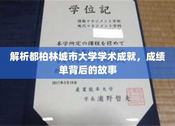 解析都柏林城市大学学术成就,成绩单背后的故事