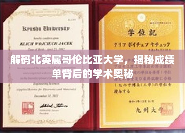 解码北英属哥伦比亚大学，揭示成绩单背后的学术精髓