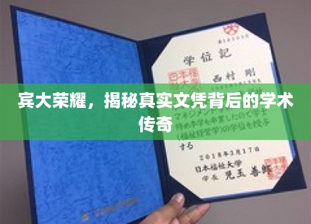 宾大荣耀，揭秘真实文凭背后的学术传奇