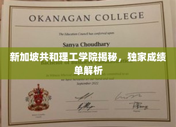 解码新加坡共和理工学院，揭秘成绩单背后的秘密与亮点