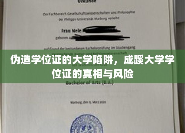 假文凭陷阱揭秘，成蹊大学学位证背后的风险与真相