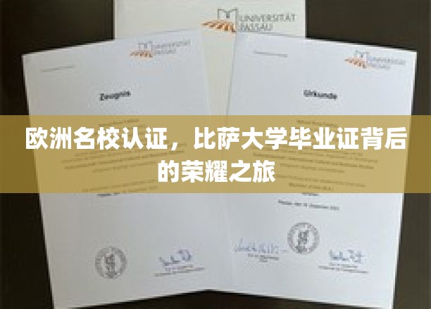 欧洲名校认证，比萨大学毕业证背后的荣耀之旅