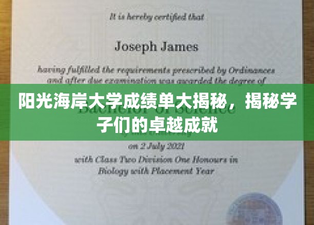 阳光海岸大学成绩单深度解析，探寻学子们的辉煌成就