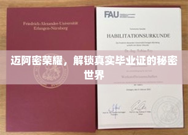 迈阿密风云解码，揭秘毕业证书背后的非凡奥秘