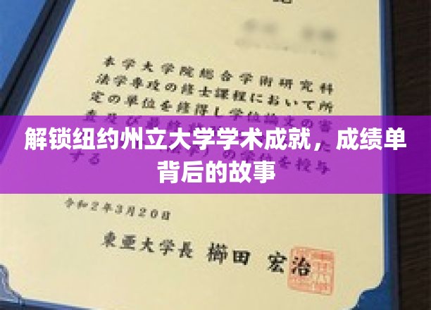 探索纽约州立大学学术成就，揭秘成绩单背后的故事