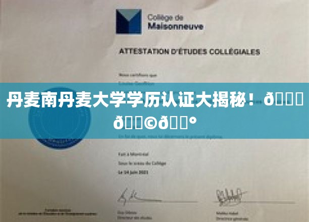 丹麦南丹麦大学学历认证大揭秘！🎓🇩🇰