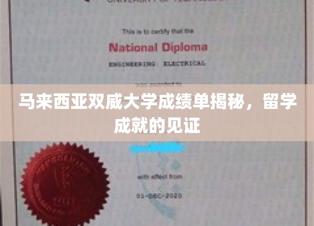 马来西亚双威大学成绩单揭秘，留学成就的见证