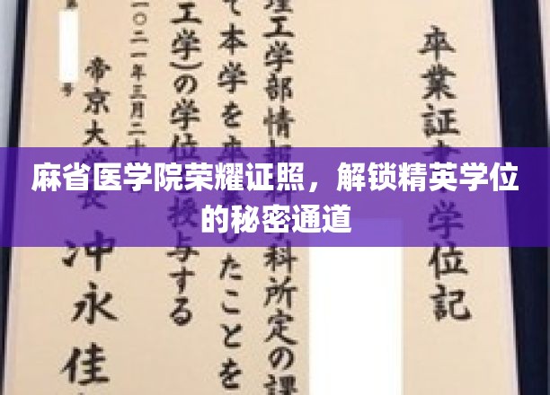 麻省医学院荣耀证照，开启通往精英学位的尊贵之门