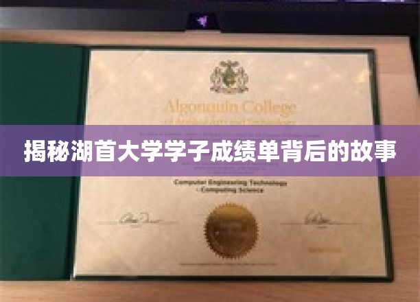 揭秘湖首大学学子成绩单背后的故事