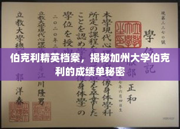 解码伯克利高材生，探寻加州大学伯克利的卓越成绩密码