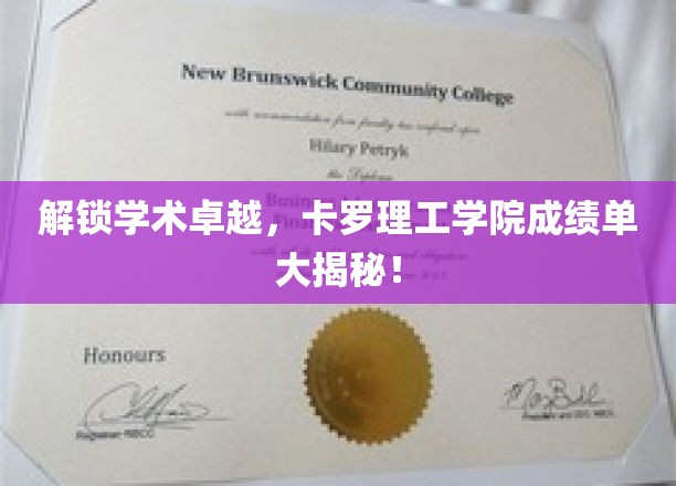 卡罗理工学院学霸养成记，一窥卓越成绩背后的秘密