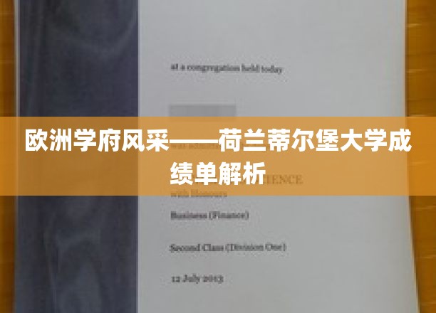 探索荷兰蒂尔堡大学，揭秘欧洲名校的学术实力与成就