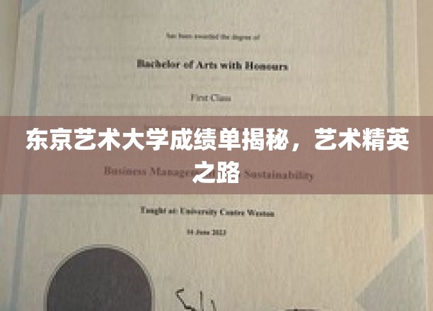 解码东京艺术精英，揭秘学子成就背后的秘密