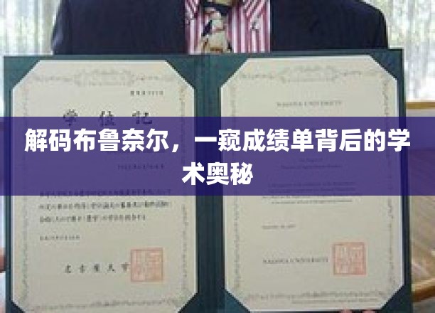 揭开成绩单面纱，布鲁奈尔大学学术秘密大揭秘