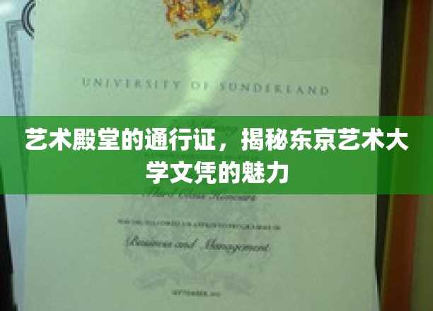 东京艺术大学文凭，开启艺术殿堂之门的神秘钥匙