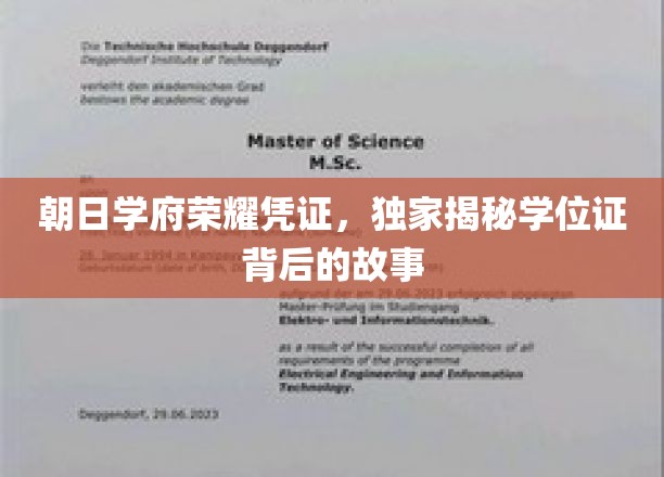 朝日学府荣耀证章，探寻学位证背后的传奇故事