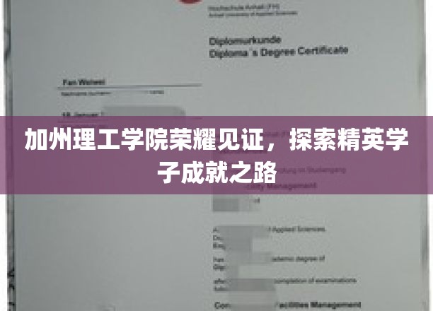 科技精英的摇篮，加州理工学院学子成就之旅
