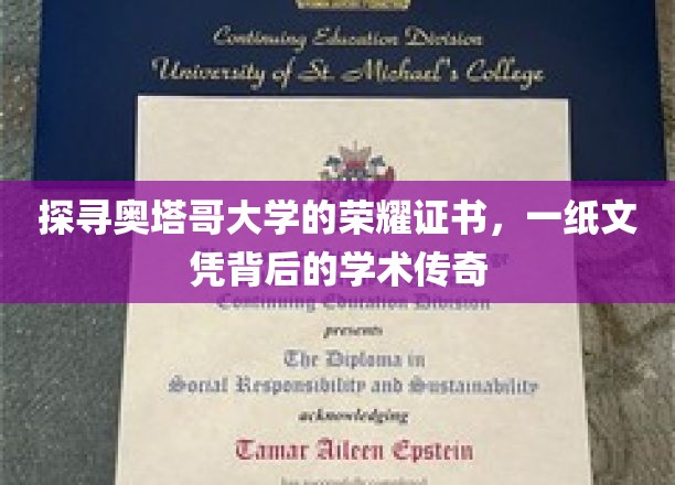解码奥塔哥荣耀，探索一纸文凭中的学术奥秘
