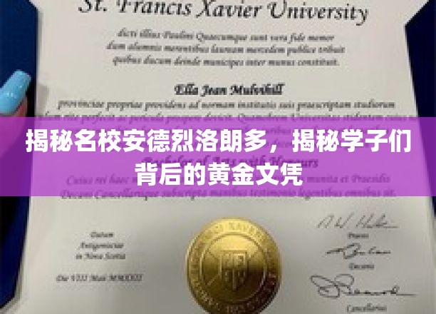 揭秘名校安德烈洛朗多，揭秘学子们背后的黄金文凭