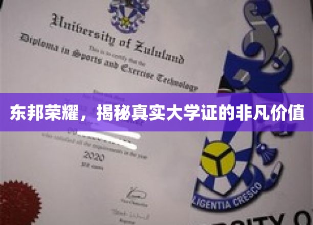 东邦荣耀，揭秘真实大学证的非凡价值