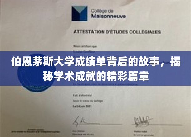 伯恩茅斯大学成绩单背后的故事，揭秘学术成就的精彩篇章