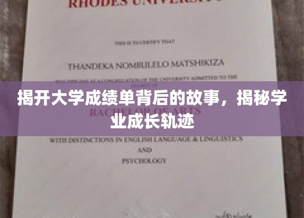解码成绩单，探寻学子成长轨迹的秘密面纱