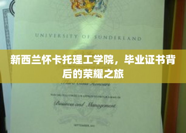 新西兰怀卡托理工学院，毕业证书见证的荣耀征途