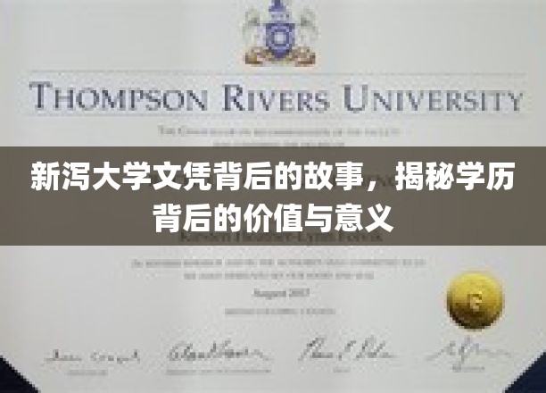 新泻大学文凭背后的故事，揭秘学历背后的价值与意义