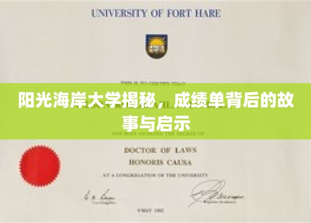 解码阳光海岸大学，成绩单背后的成长轨迹与人生启示