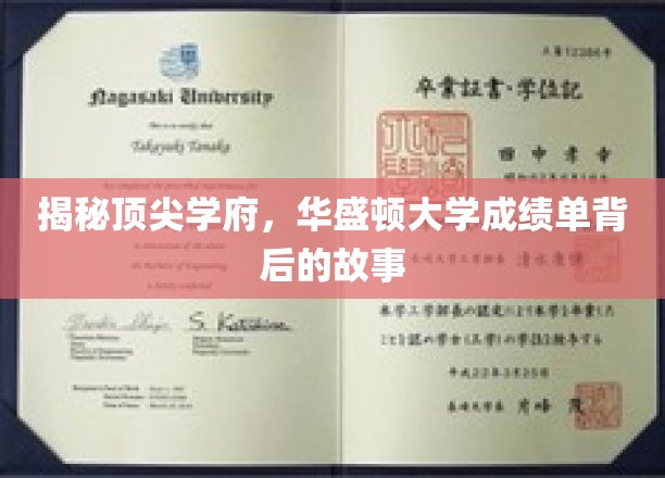华盛顿大学揭秘，揭开顶尖学府成绩单背后的精彩篇章