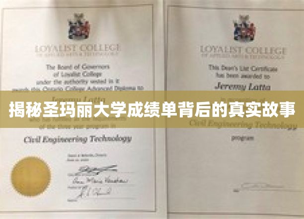 解码圣玛丽大学成绩单，隐藏的学术传奇